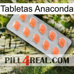 Anaconda Tablets 26